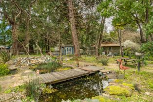 3+ Houses on Lot,  Fredricks road, Sebastopol, CA 95472 - 8