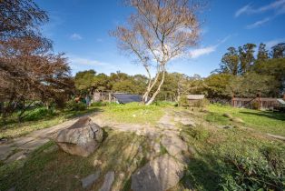 3+ Houses on Lot,  Fredricks road, Sebastopol, CA 95472 - 43