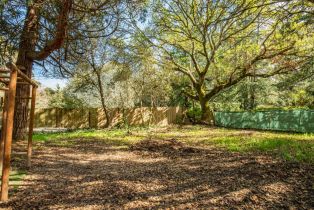 3+ Houses on Lot,  Fredricks road, Sebastopol, CA 95472 - 58
