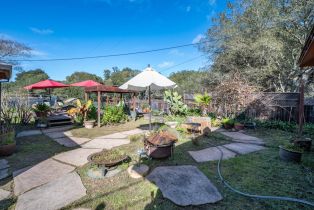 3+ Houses on Lot,  Fredricks road, Sebastopol, CA 95472 - 35