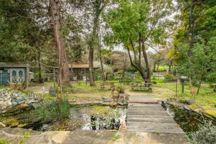 3+ Houses on Lot,  Fredricks road, Sebastopol, CA 95472 - 7