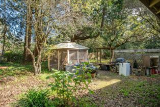 3+ Houses on Lot,  Fredricks road, Sebastopol, CA 95472 - 55