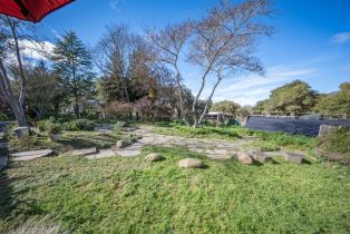 3+ Houses on Lot,  Fredricks road, Sebastopol, CA 95472 - 30