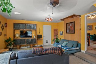 3+ Houses on Lot,  Fredricks road, Sebastopol, CA 95472 - 21