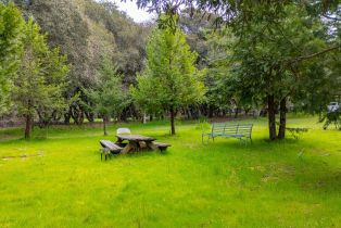 3+ Houses on Lot,  Fredricks road, Sebastopol, CA 95472 - 91