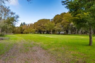 3+ Houses on Lot,  Fredricks road, Sebastopol, CA 95472 - 92