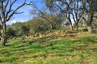 Single Family Residence,  1st avenue, Napa, CA 94558 - 22