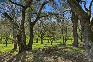 Single Family Residence,  1st avenue, Napa, CA 94558 - 9