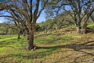 Single Family Residence,  1st avenue, Napa, CA 94558 - 23