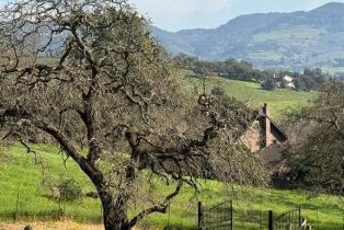 Single Family Residence,  1st avenue, Napa, CA 94558 - 3