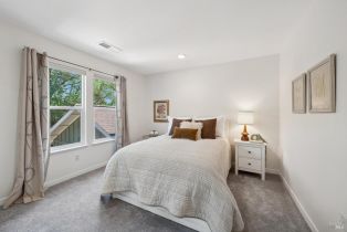 Single Family Residence,  Warm Springs road, Glen Ellen, CA 95442 - 20