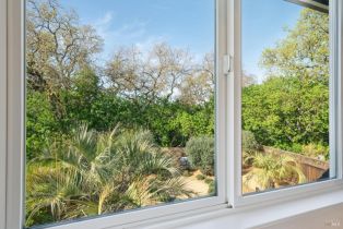 Single Family Residence,  Hickory street, Sonoma, CA 95476 - 41