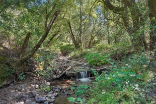 Single Family Residence,  Morningside Mtn road, Glen Ellen, CA 95442 - 79