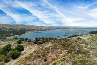 Single Family Residence,  Whaleship road, Bodega Bay, CA 94923 - 8