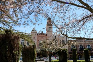 Single Family Residence,  Napa street, Sonoma, CA 95476 - 39