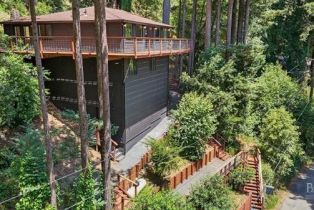 Single Family Residence,  Old Monte Rio road, Russian River, CA 95446 - 7