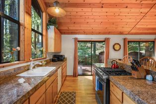 Single Family Residence, Huckleberry heights, Russian River, CA 95421 - 13