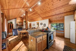 Single Family Residence, Huckleberry heights, Russian River, CA 95421 - 15