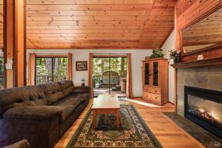 Single Family Residence, Huckleberry heights, Russian River, CA 95421 - 9