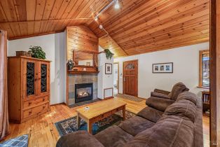 Single Family Residence, Huckleberry heights, Russian River, CA 95421 - 20
