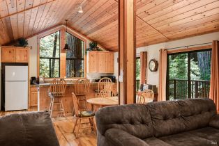 Single Family Residence, Huckleberry heights, Russian River, CA 95421 - 19