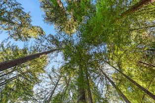 Single Family Residence, Huckleberry heights, Russian River, CA 95421 - 36