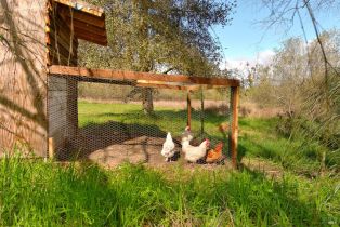 Single Family Residence,  Watertrough road, Sebastopol, CA 95472 - 20