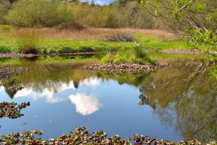 Single Family Residence,  Watertrough road, Sebastopol, CA 95472 - 13
