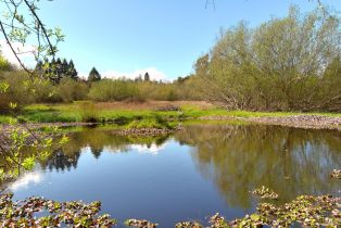 Single Family Residence,  Watertrough road, Sebastopol, CA 95472 - 15