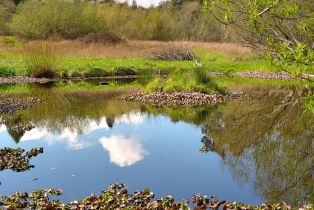Single Family Residence,  Watertrough road, Sebastopol, CA 95472 - 12