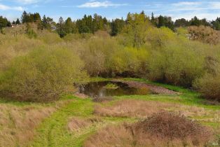 Single Family Residence,  Watertrough road, Sebastopol, CA 95472 - 4