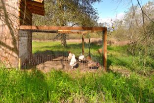 Single Family Residence,  Watertrough road, Sebastopol, CA 95472 - 21