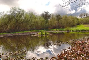 Single Family Residence,  Watertrough road, Sebastopol, CA 95472 - 16