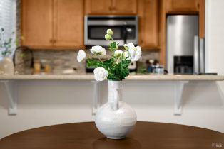 Condominium,  Burt street, Santa Rosa, CA 95407 - 9