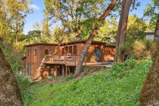 Single Family Residence,  Hill road, Glen Ellen, CA 95442 - 43