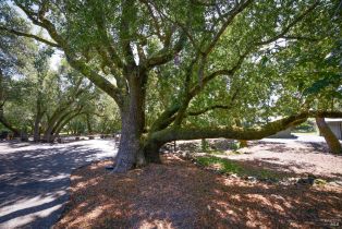 Single Family Residence,  Grove street, Sonoma, CA 95476 - 54