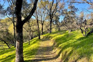 Single Family Residence,  Wright Ranch lane, Healdsburg, CA 95448 - 77