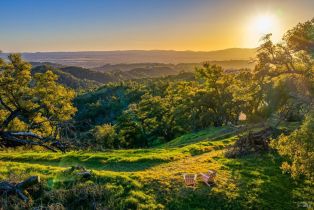 Single Family Residence,  Wright Ranch lane, Healdsburg, CA 95448 - 78