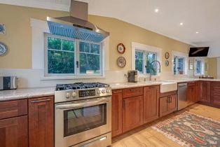 Single Family Residence,  Covey road, Russian River, CA 95436 - 13