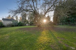 Single Family Residence,  Covey road, Russian River, CA 95436 - 41