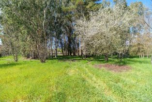 Single Family Residence,  Linden street, Sonoma, CA 95476 - 31