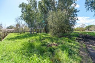 Single Family Residence,  Linden street, Sonoma, CA 95476 - 32