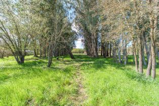 Single Family Residence,  Linden street, Sonoma, CA 95476 - 28
