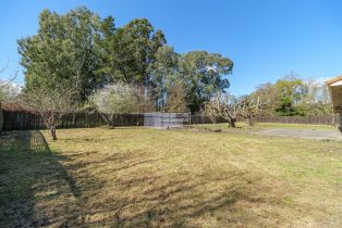 Single Family Residence,  Linden street, Sonoma, CA 95476 - 10