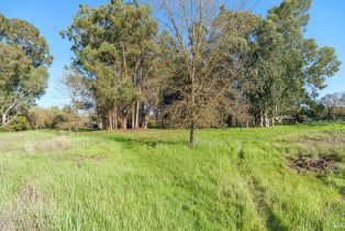 Single Family Residence,  Linden street, Sonoma, CA 95476 - 33