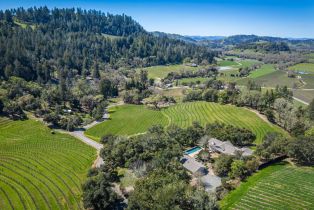 Single Family Residence,  Highway 128 none, Calistoga, CA 94515 - 12