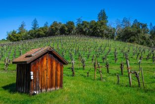 Single Family Residence,  Highway 128 none, Calistoga, CA 94515 - 42