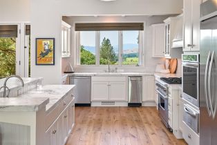 Single Family Residence,  Highway 128 none, Calistoga, CA 94515 - 19