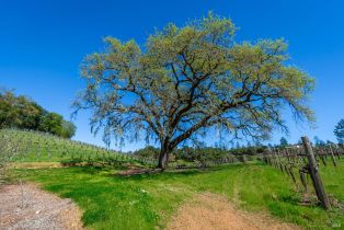 Single Family Residence,  Highway 128 none, Calistoga, CA 94515 - 30