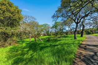 Single Family Residence,  Wood Valley road, Sonoma, CA 95476 - 11